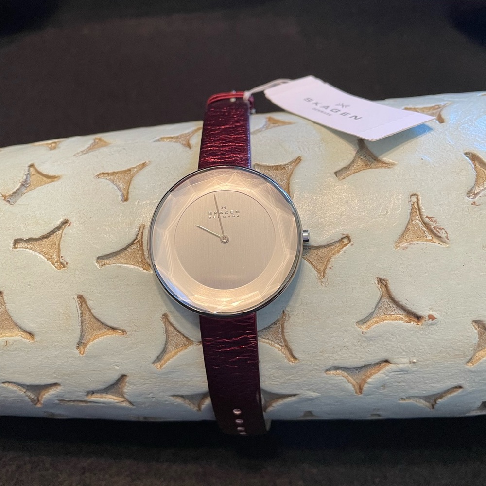 Skagen Faceted Bezel Watch